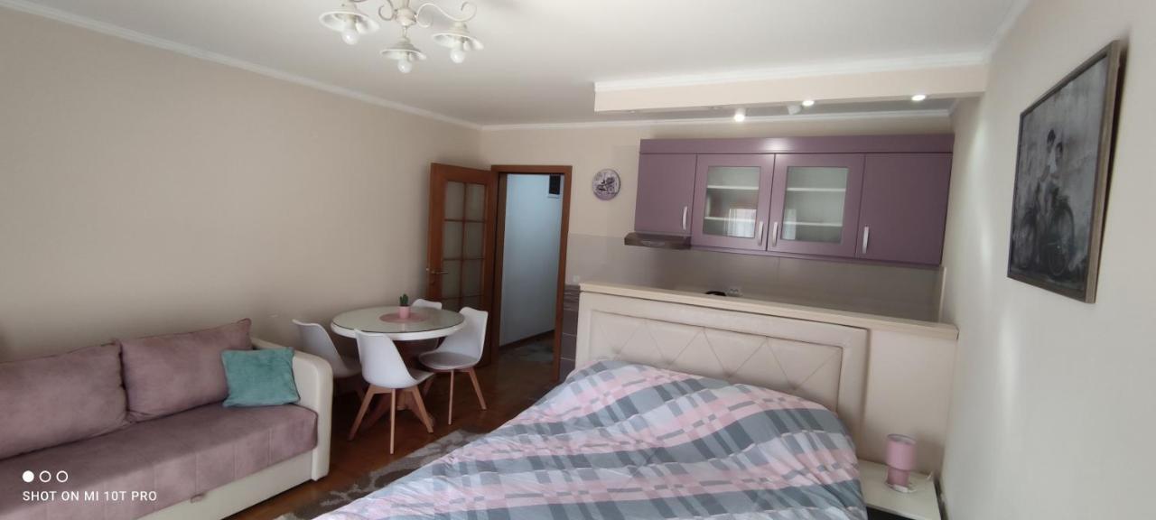 Alex 2 Apartman Vrnjačka Banja Eksteriør billede