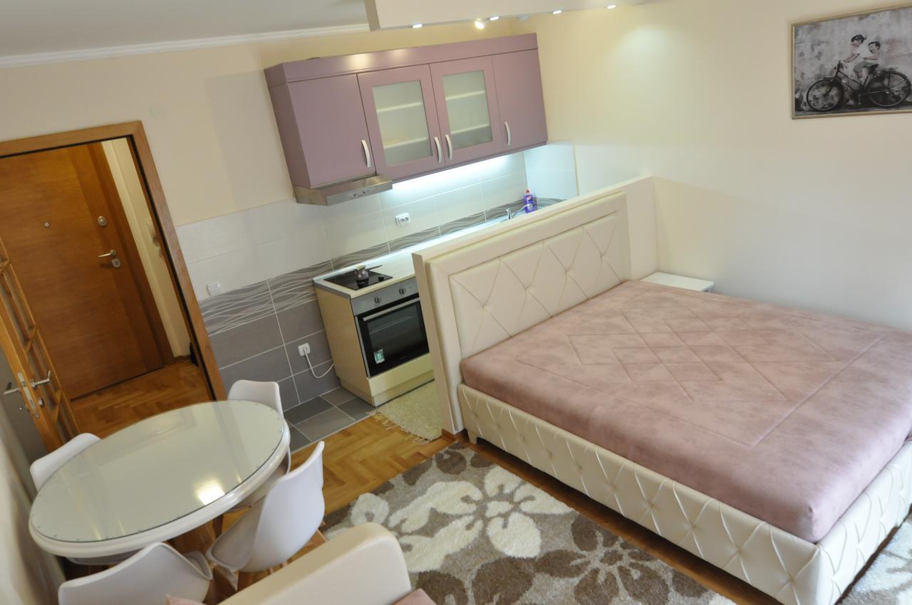 Alex 2 Apartman Vrnjačka Banja Værelse billede